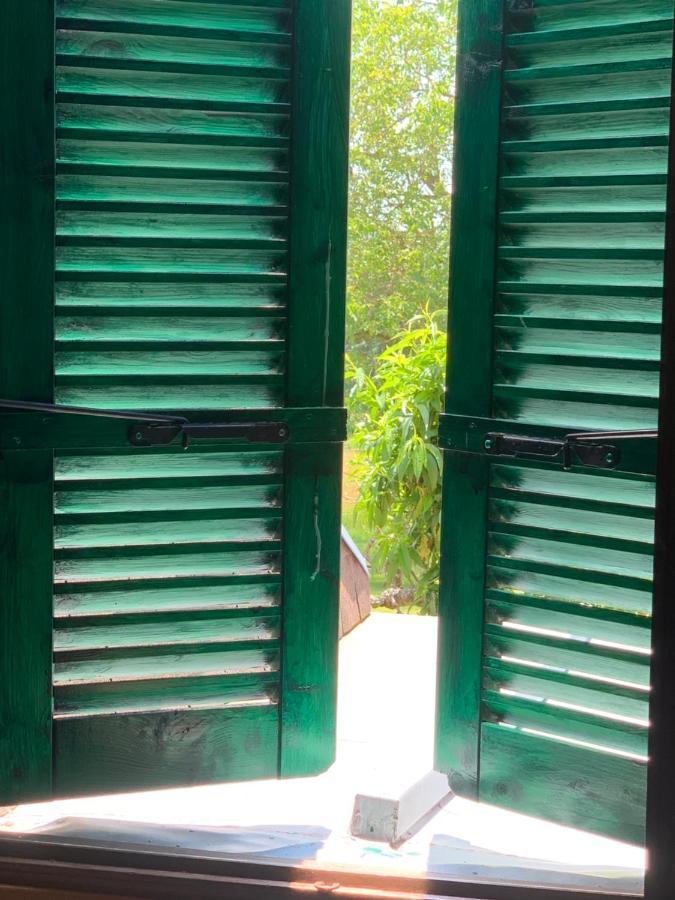 Chambres D' Hotes La Lison Tintry Esterno foto